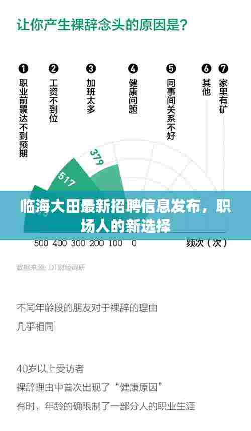 临海大田最新招聘信息发布，职场人的新选择