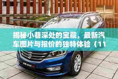揭秘小巷深处的宝藏，最新汽车图片与报价的独特体验（11月最新更新）