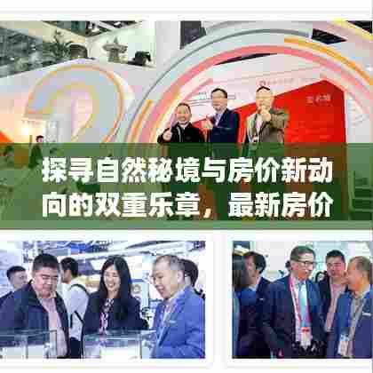 探寻自然秘境与房价新动向的双重乐章，最新房价走势与心灵之旅的交融——阳光之旅 2024年11月14日最新消息
