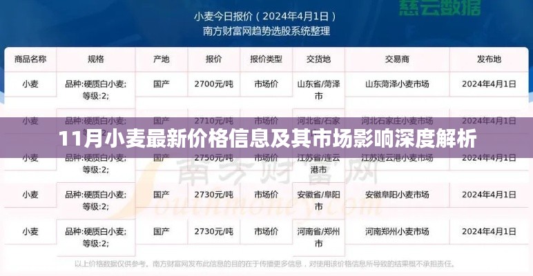 11月小麦最新价格信息及其市场影响深度解析