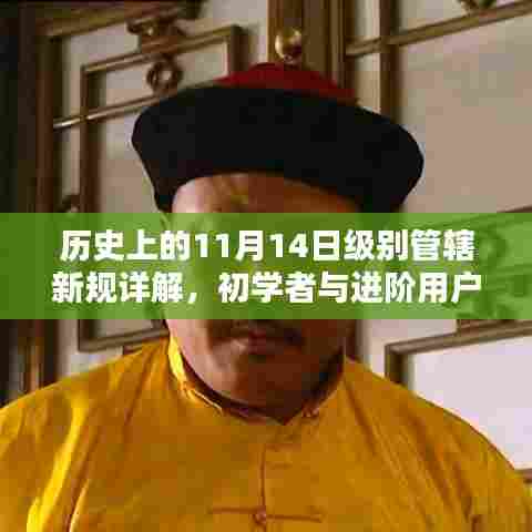 历史上的11月14日级别管辖新规详解，初学者与进阶用户指南