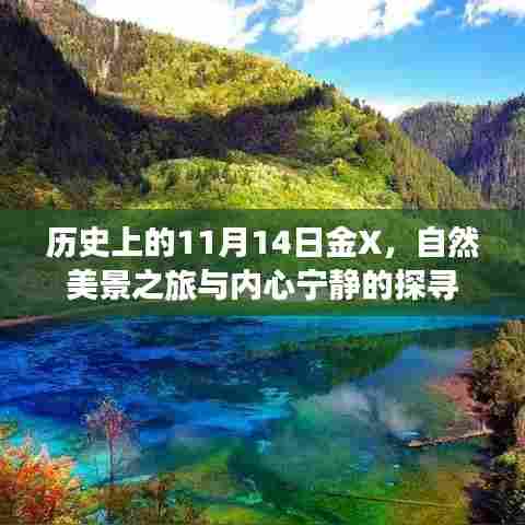 历史上的11月14日金X，自然美景之旅与内心宁静的探寻