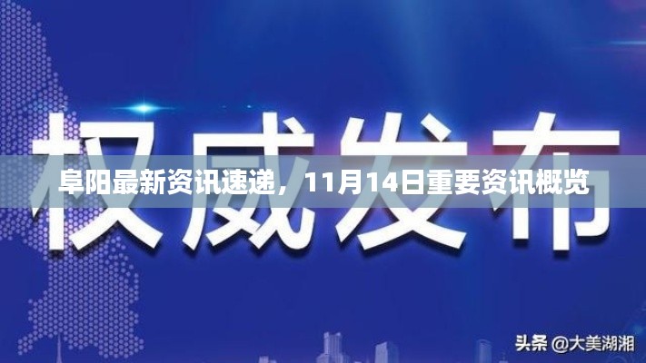 阜阳最新资讯速递，11月14日重要资讯概览