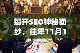 揭开SEO神秘面纱，往年11月14日任飘渺最新动态揭秘
