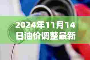 2024年11月14日油价调整最新动态与时代影响解析