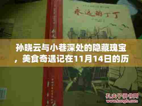 孙晓云与小巷深处的隐藏瑰宝，美食奇遇记在11月14日的历史时刻