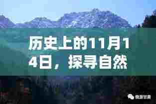 草草收兵 第6页