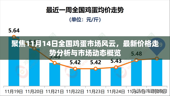 改弦更张 第6页
