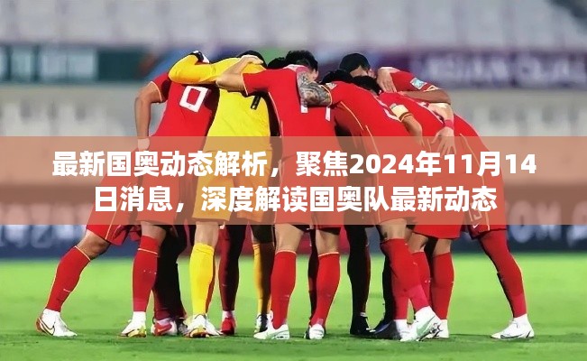 最新国奥动态解析,聚焦2024年11月14日消息,深度解读国奥队最新动态