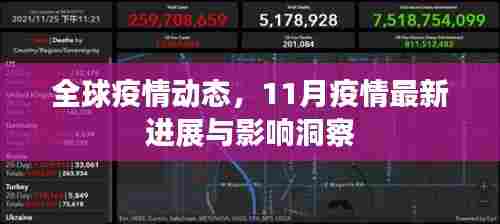 全球疫情动态，11月疫情最新进展与影响洞察