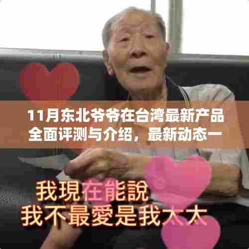 11月东北爷爷在台湾最新产品全面评测与介绍,最新动态一览