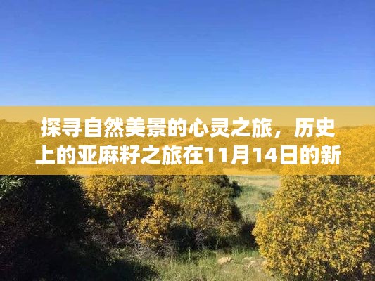 探寻自然美景的心灵之旅，历史上的亚麻籽之旅在11月14日的新篇章