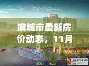 麻城市最新房价动态，11月14日温馨探房之旅