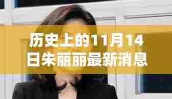 历史上的11月14日朱丽丽最新消息深度解析与影响阐述