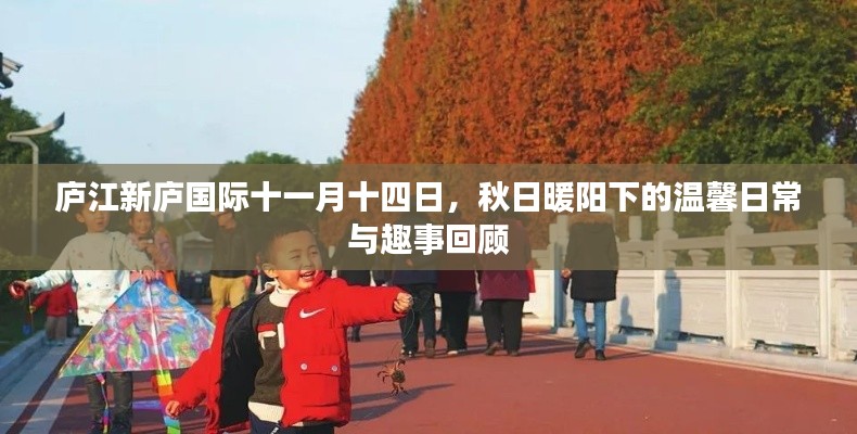 庐江新庐国际十一月十四日，秋日暖阳下的温馨日常与趣事回顾