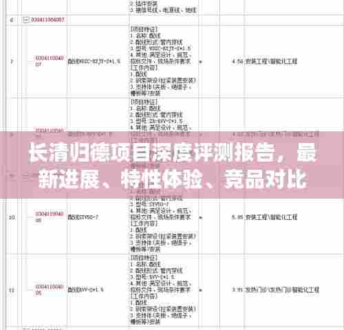 长清归德项目深度评测报告，最新进展、特性体验、竞品对比与用户洞察（2024年11月）