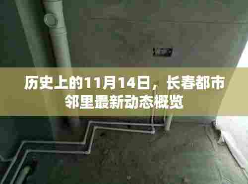 历史上的11月14日,长春都市邻里最新动态概览