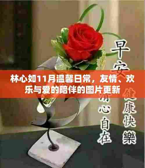 林心如11月温馨日常，友情、欢乐与爱的陪伴的图片更新