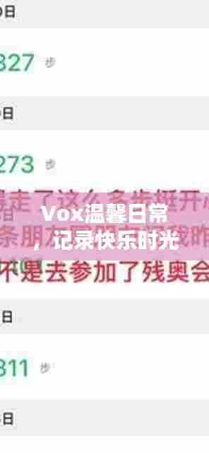 Vox温馨日常，记录快乐时光，2024年11月14日最新更新