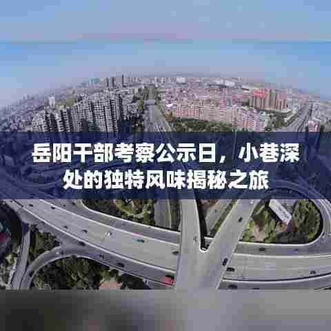 岳阳干部考察公示日，小巷深处的独特风味揭秘之旅