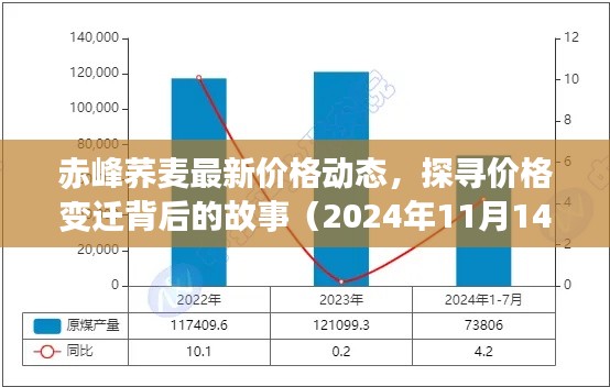 赤峰荞麦最新价格动态,探寻价格变迁背后的故事(2024年11月14日观察)