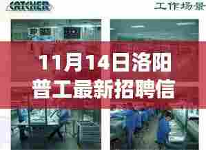 11月14日洛阳普工最新招聘信息及职场观察与个人立场