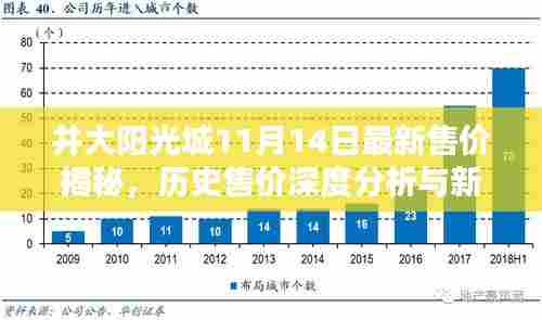 井大阳光城11月14日最新售价揭秘,历史售价深度分析与新动态聚焦