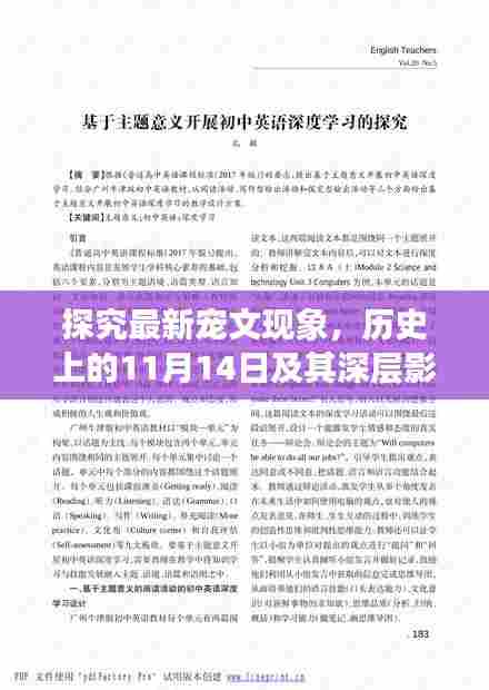 探究最新宠文现象，历史上的11月14日及其深层影响