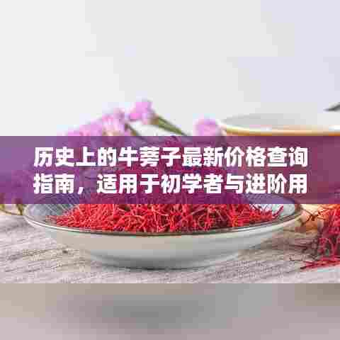 历史上的牛蒡子最新价格查询指南，适用于初学者与进阶用户