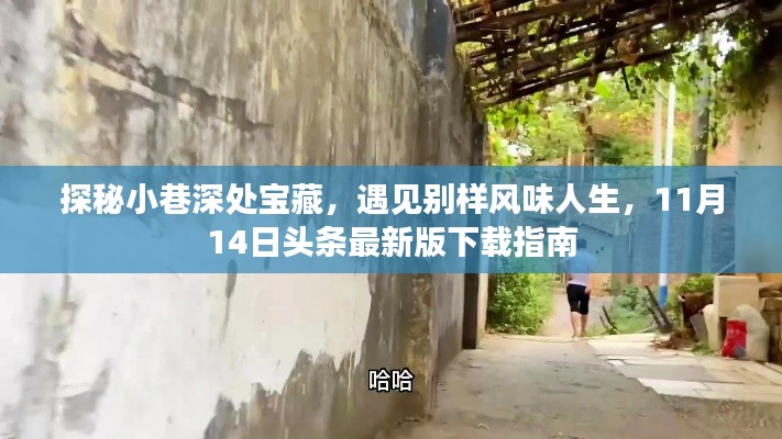 探秘小巷深处宝藏,遇见别样风味人生,11月14日头条最新版下载指南