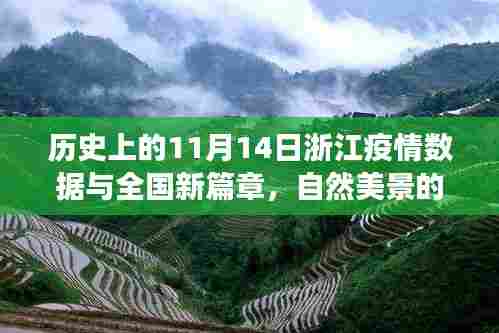 历史上的11月14日浙江疫情数据与全国新篇章，自然美景的心灵之旅回顾报告