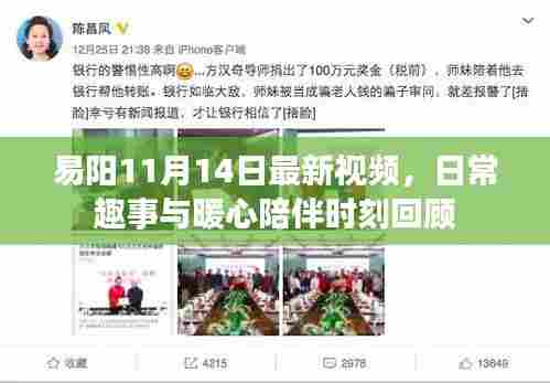 易阳11月14日最新视频，日常趣事与暖心陪伴时刻回顾