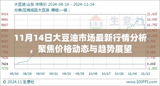 11月14日大豆油市场最新行情分析,聚焦价格动态与趋势展望