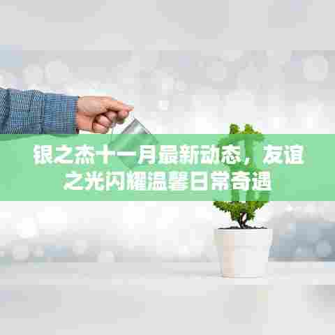 银之杰十一月最新动态,友谊之光闪耀温馨日常奇遇