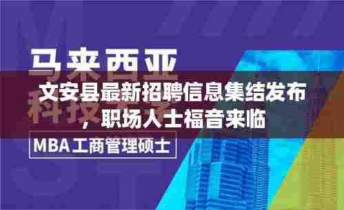文安县最新招聘信息集结发布,职场人士福音来临