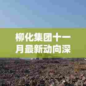 柳化集团十一月最新动向深度解析