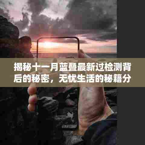 揭秘十一月蓝叠最新过检测背后的秘密，无忧生活的秘籍分享在小红书上