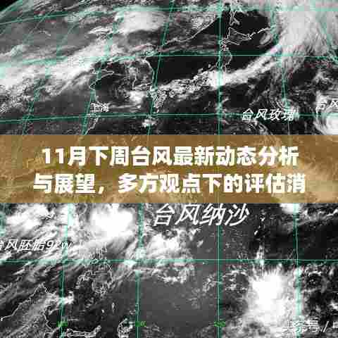 11月下周台风最新动态分析与展望，多方观点下的评估消息报
