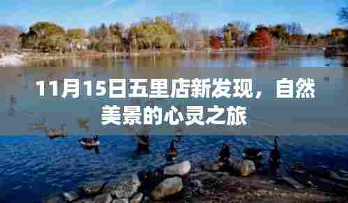 11月15日五里店新发现,自然美景的心灵之旅