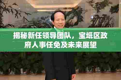揭秘新任领导团队，宝坻区政府人事任免及未来展望