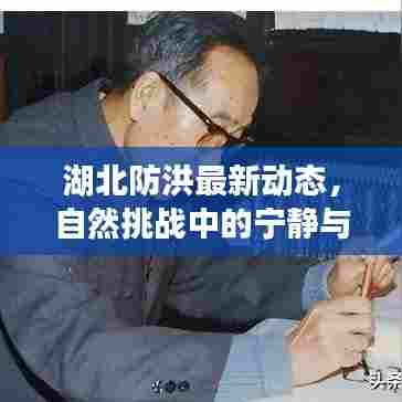 雅人深致 第4页