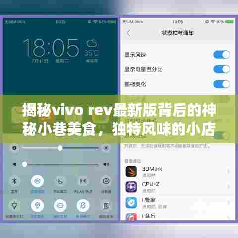 揭秘vivo rev最新版背后的神秘小巷美食,独特风味的小店探索