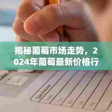 揭秘葡萄市场走势,2024年葡萄最新价格行情分析