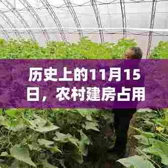 历史上的11月15日，农村建房占用耕地的新动态与观察思考