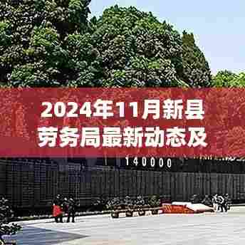2024年11月新县劳务局最新动态及就业市场深度解读与政策更新全解析