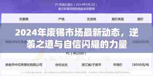 2024年废锡市场最新动态,逆袭之道与自信闪耀的力量