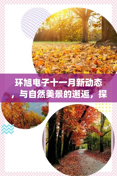 贵人多忘事 第5页