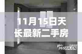 11月15日天长最新二手房毛坯房市场深度解析及房源概览