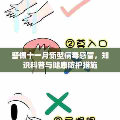 警惕十一月新型病毒感冒，知识科普与健康防护措施