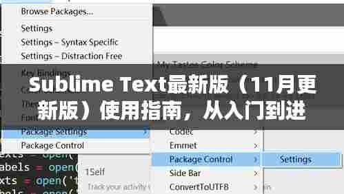 Sublime Text最新版(11月更新版)使用指南,从入门到进阶的技能提升全攻略
